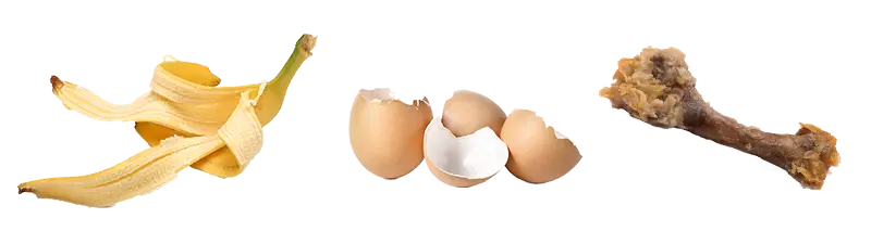 Food Scrap Examples: banana peel, egg shells, and chicken leg bone