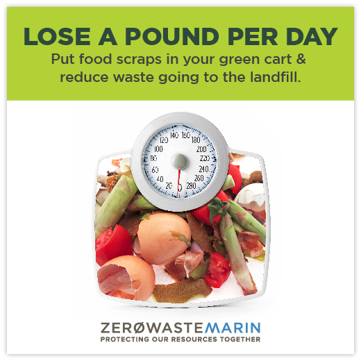 Ad from ZWM 2015 Campaign "loose a pound per day" showing a scale made from food scraps