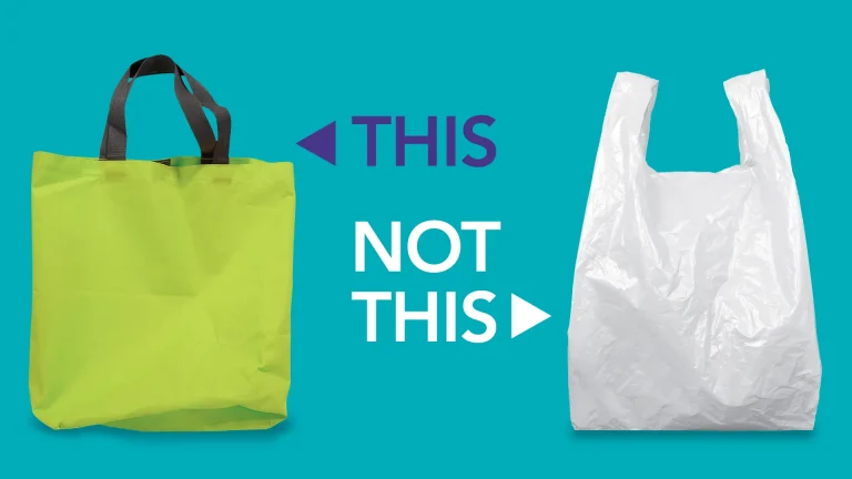 ZWM Campaign: reusable market bag and a disposable plastic bag