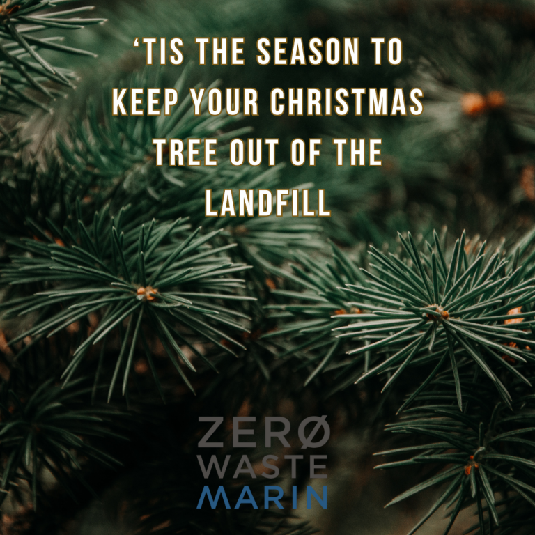 An image of pine needles with the text "Tis the season to keep your tree out of the landfill"